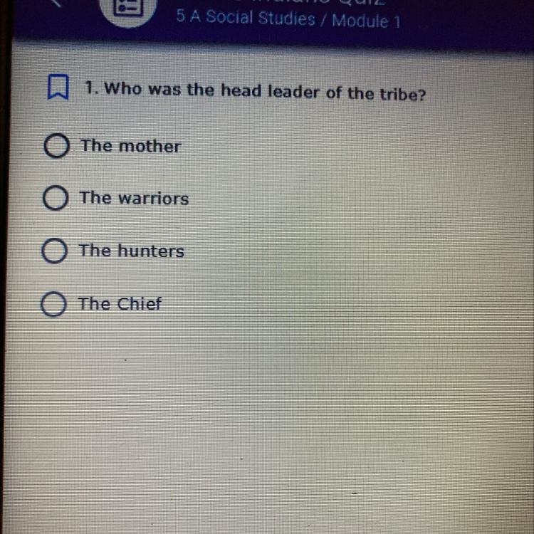 A 1. Who was the head leader of the tribe? O The mother O The warriors The hunters-example-1