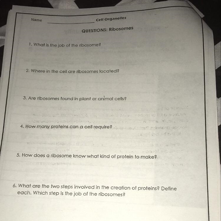 Can someone pls answer these questions for me ?-example-1