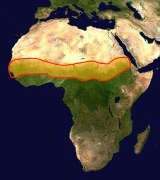 What is the name of the yellow zone found approximately in the center of this map-example-1