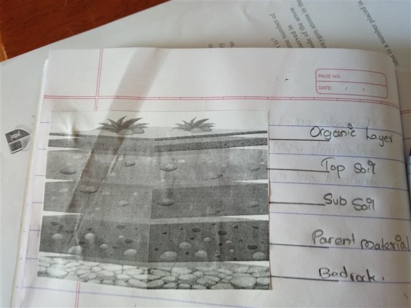 Which layer contain minerals most ?-example-1