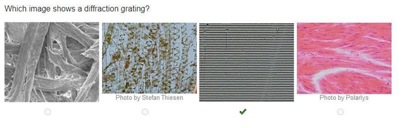 Which image shows a diffraction grating ?-example-1