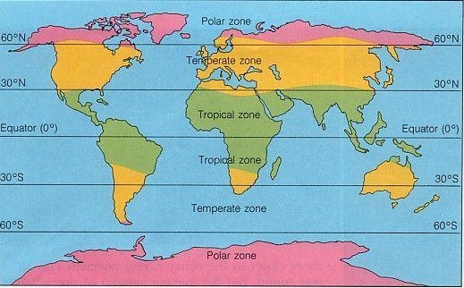 Show the tropical zone in map of earth.plz do it in copy and click it.....​-example-1