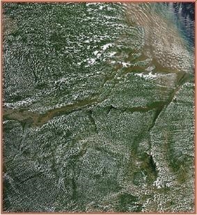 The image above shows the effects of transpiration. What is the most likely reason-example-1