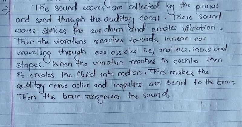 Explain how human ear work?​-example-1