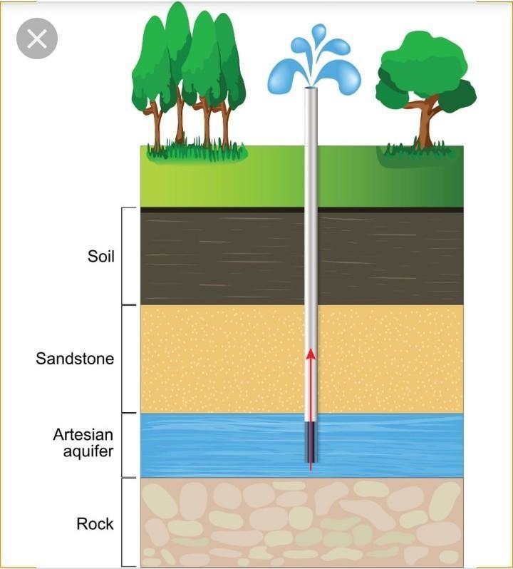 Aquifers are a located below the water table b. important sources of freshwater c-example-1