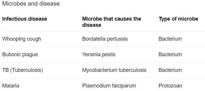 Name at least two of the microorganisms known to cause disease ​-example-1