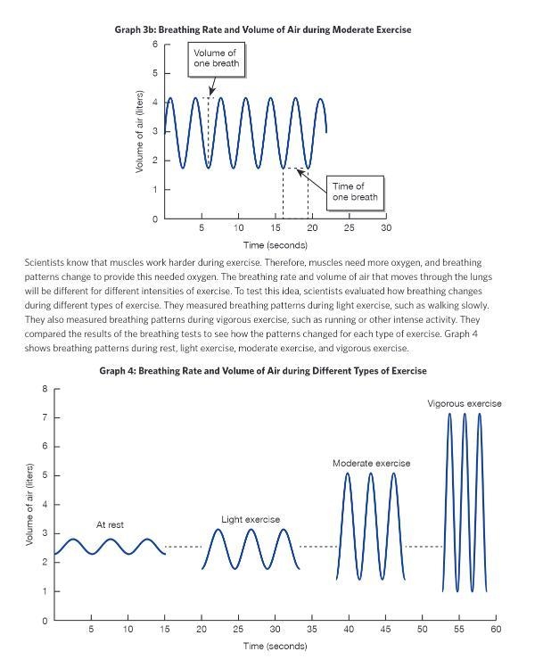 PLEASE I NEED IT FAST How can scientists support the conclusion that as exercise eternity-example-2