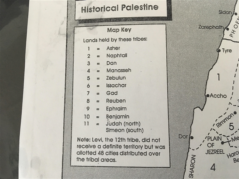 The tribal land east of the Dead Sea was controlled by the _________ tribe. HELPPPP-example-1