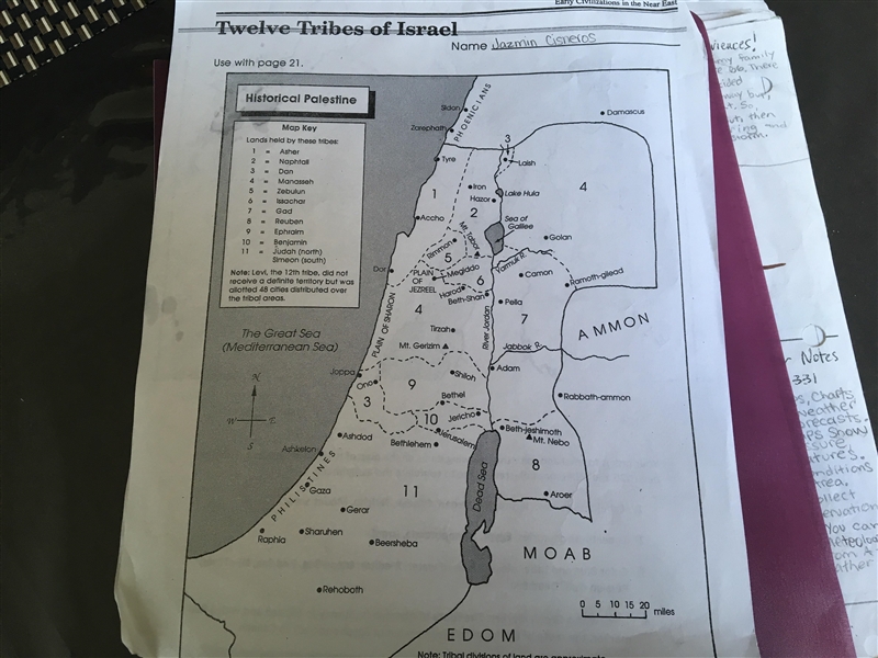 The tribal land east of the Dead Sea was controlled by the _________ tribe. HELPPPP-example-2