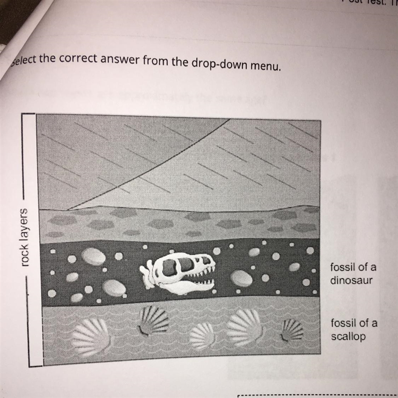 Select the correct answer from the drop-down menu. rock layers - fossil of a dinosaur-example-1