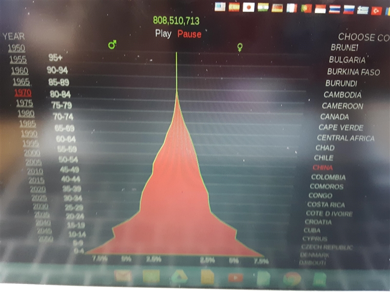 Take a look at this population pyramid for China. Select the year 1970. What patterns-example-1