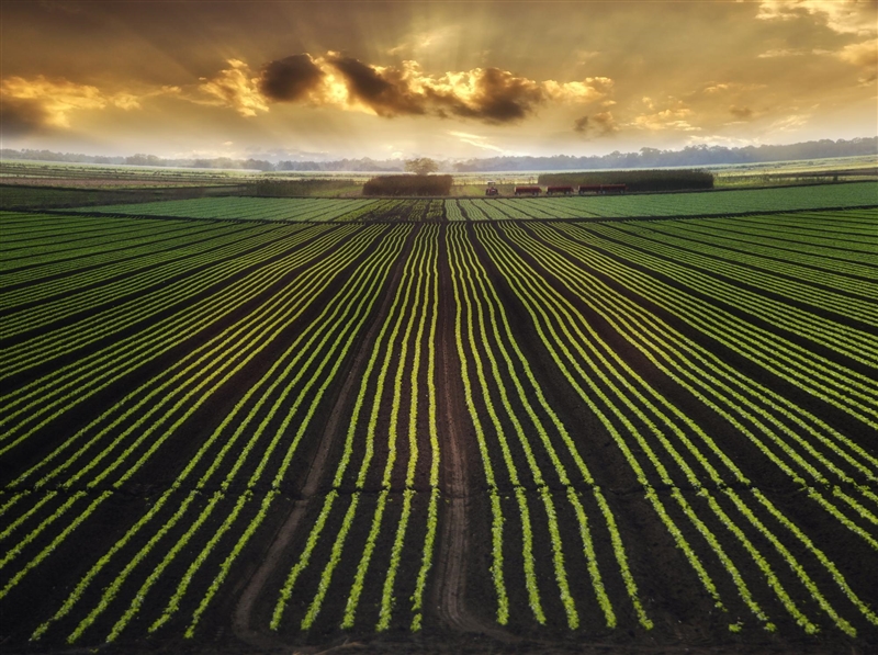 2. The Midwest region has mostly flat, grassy land with fertile soil. How has this-example-1