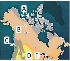 The climate region labeled with the letter E on the map above is the __________ region-example-1