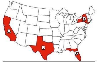 The states shaded in red- California, Texas, Florida, and New York- have seen strong-example-1