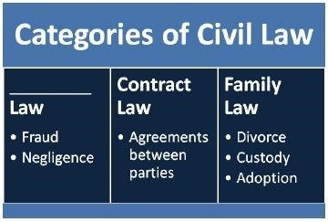 Which of the following best completes the graphic organizer above? A. Tort B. Homicide-example-1