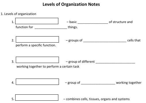 Levels Of Organisations-example-1