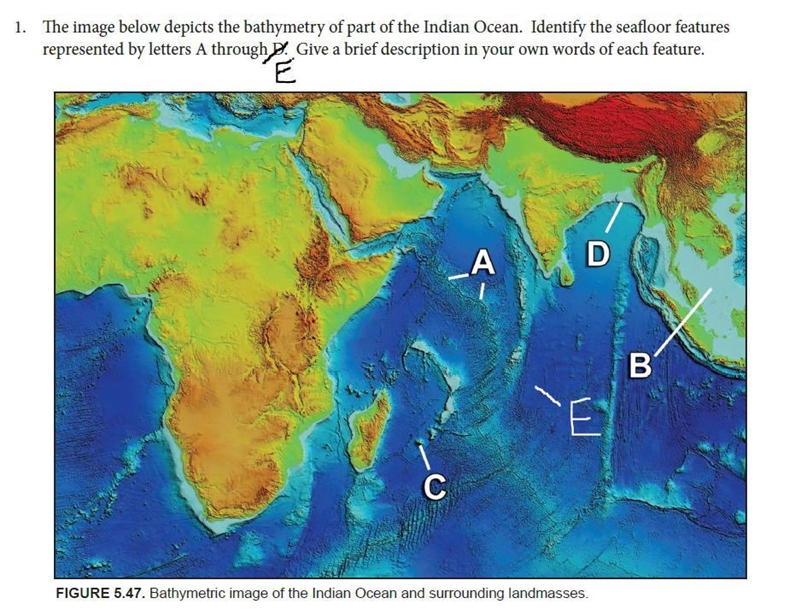 Answer asap || match the sea floor feature to letter ex: A- mountain ||-example-1