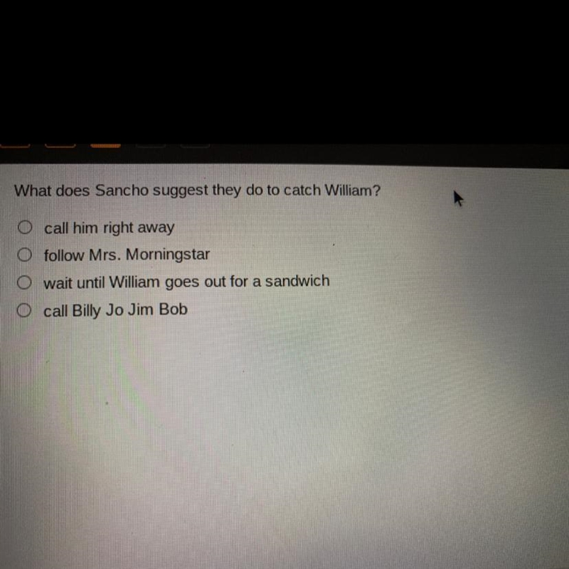 What does Sancho suggest they do to catch William?-example-1