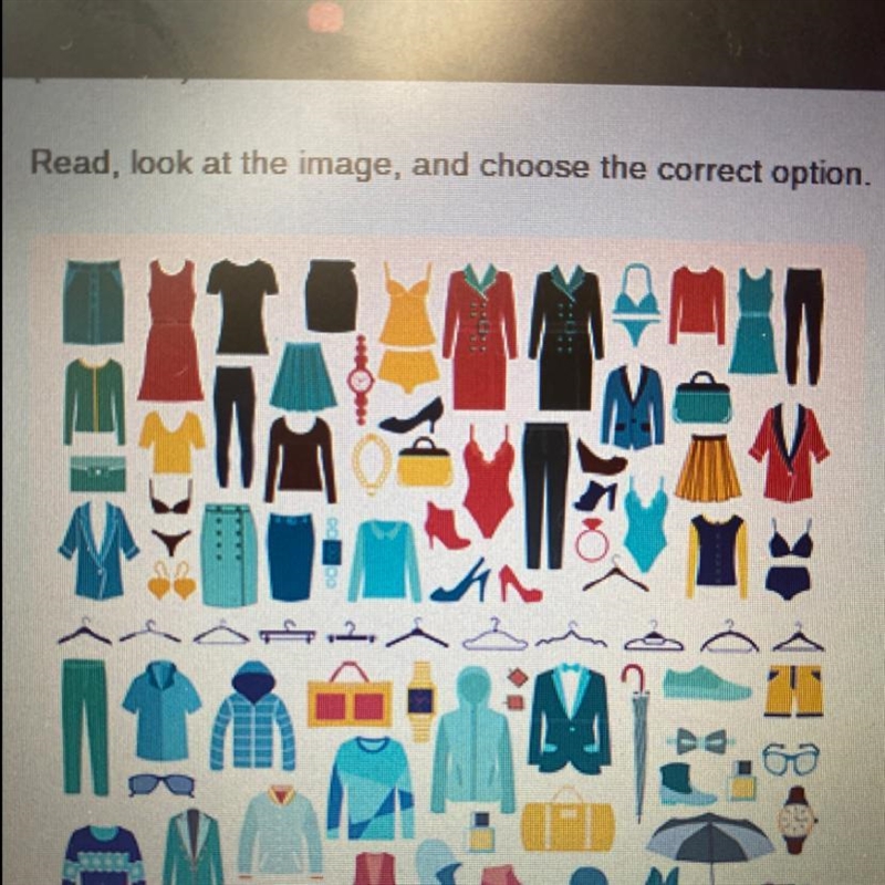 Look at the image, and choose the correct option O La camisa O La ropa O El uniforme-example-1