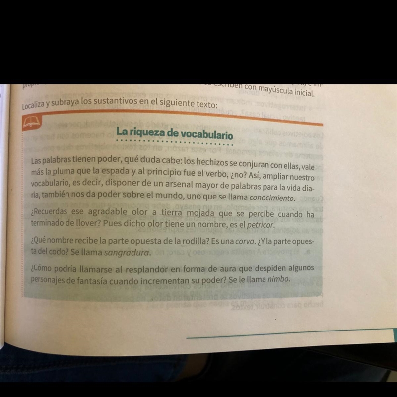 Localiza y subraya los sustantivos en el siguiente texto: La riqueza del vocabulario-example-1