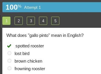 What does "gallo pinto" mean in English? spotted rooster lost bird brown-example-1