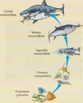 Observa la imagen y menciona en dónde se pueden ver textos como este.-example-1