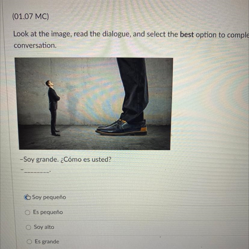 -Soy grande. ¿Cómo es usted? Soy pequeño O Es pequeño Soy alto O Es grande-example-1