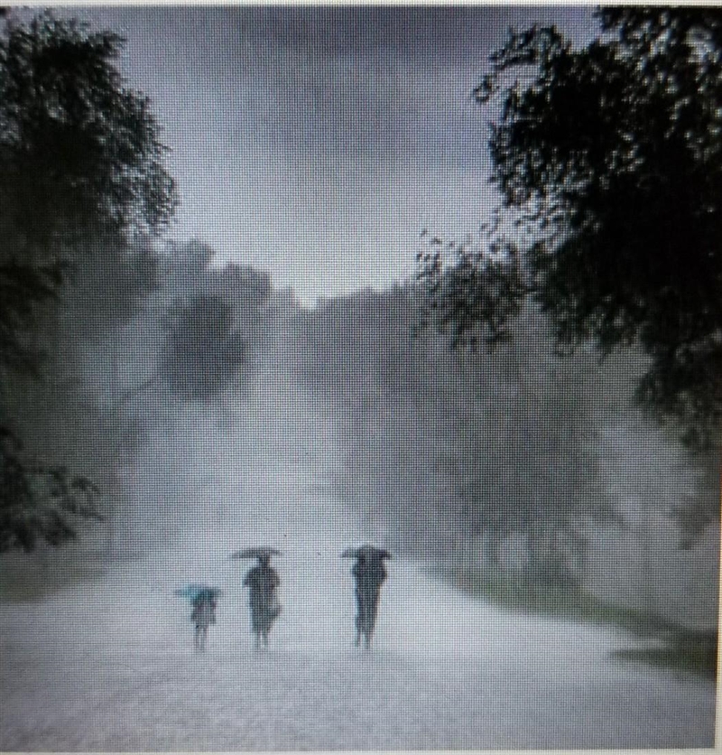 A. Una tormenta esta caracterizada por mucha lluvia, viento, relámpagos y truenos-example-1