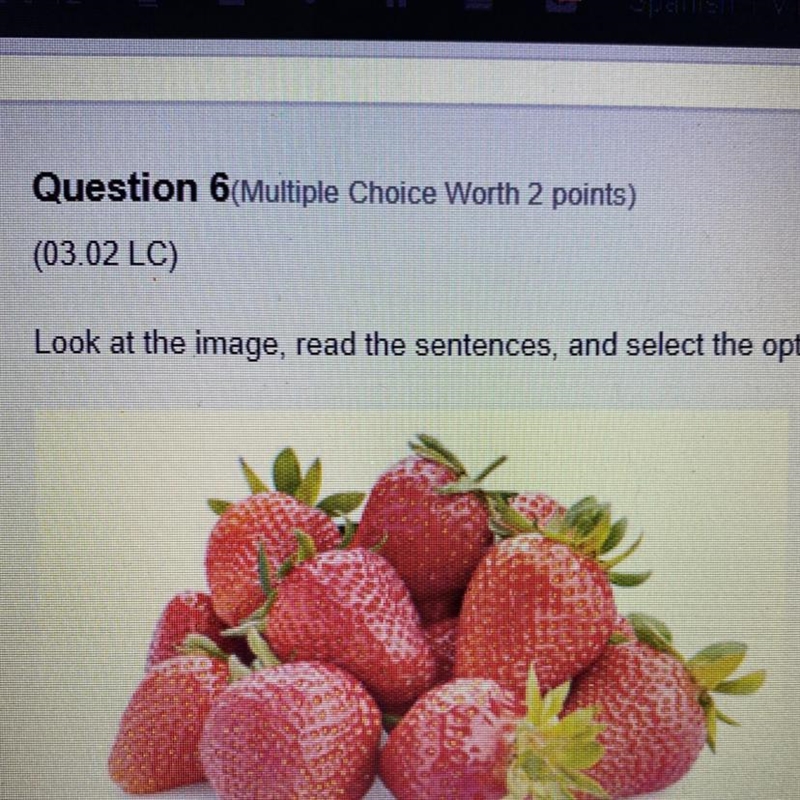 Look at the image, read the sentences, and select the option with the correct sentence-example-1