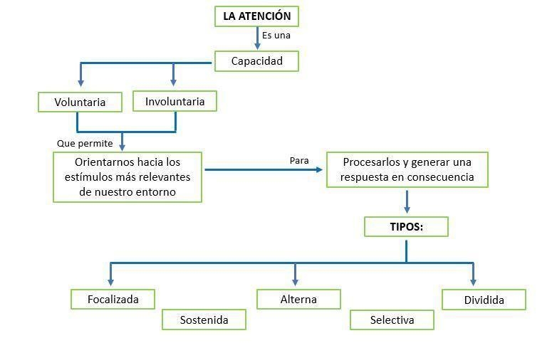 1. ¿Qué tipo de atención tienes? 2.¿Qué estrategias estas realizando para mejorar-example-1