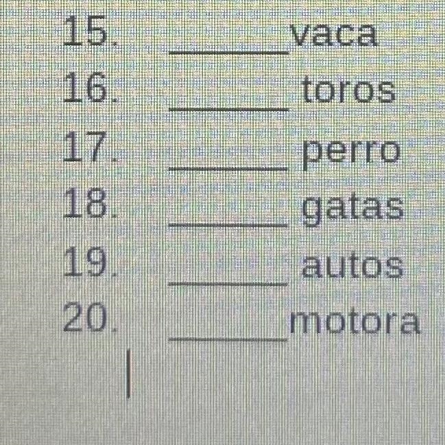 Classify definite articles (SPANISH)!!-example-1