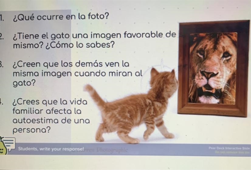 1. ¿Qué ocurre en la foto? 2. ¿Tiene el gato una imagen favorable de si mismo? ¿C-example-1