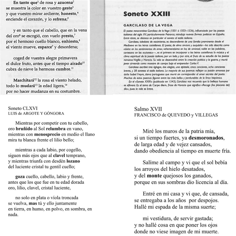 Por favor ayúdame y dame las respuestas correctas para cada una de las preguntas que-example-1