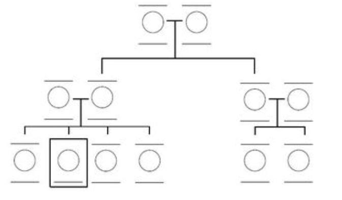 Pls fill out family tree. The square box means me then write relationships for each-example-1