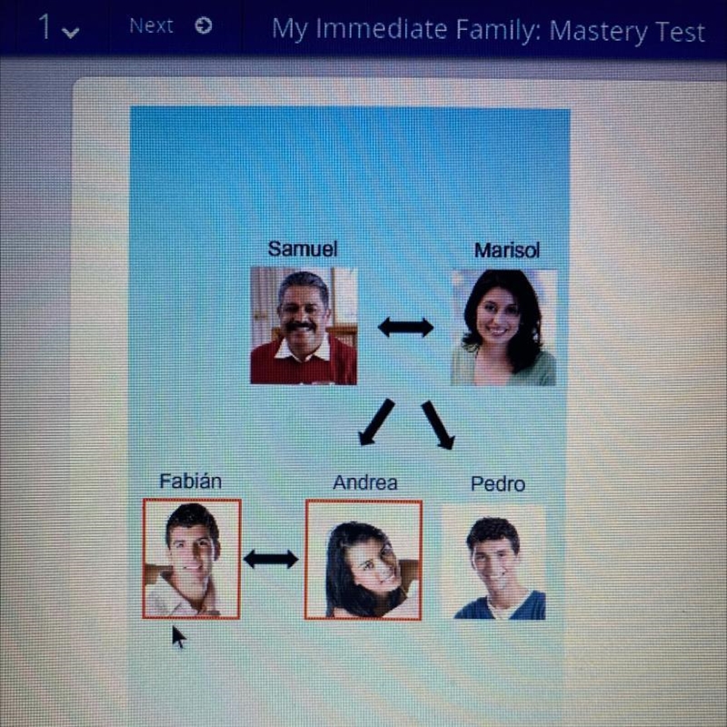 Look at the family tree. Choose the correct relationship between Fabián and Andrea-example-1