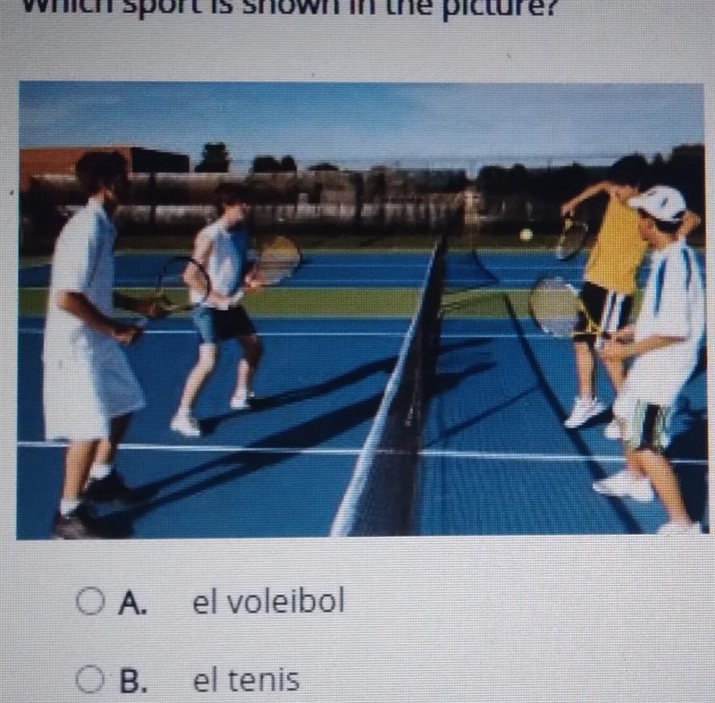 Select the correct answer Which sport is shown in the picture? A. el voleibol B. el-example-1