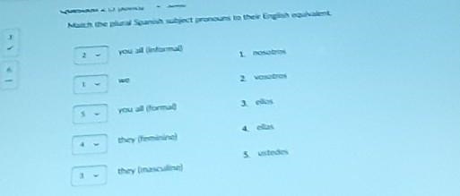 HELP ASSAP Match the plural Spanish subject pronouns to their English equivalent ​-example-1