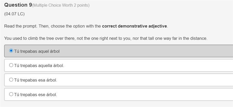 Read the prompt. Then, choose the option with the correct demonstrative adjective-example-1