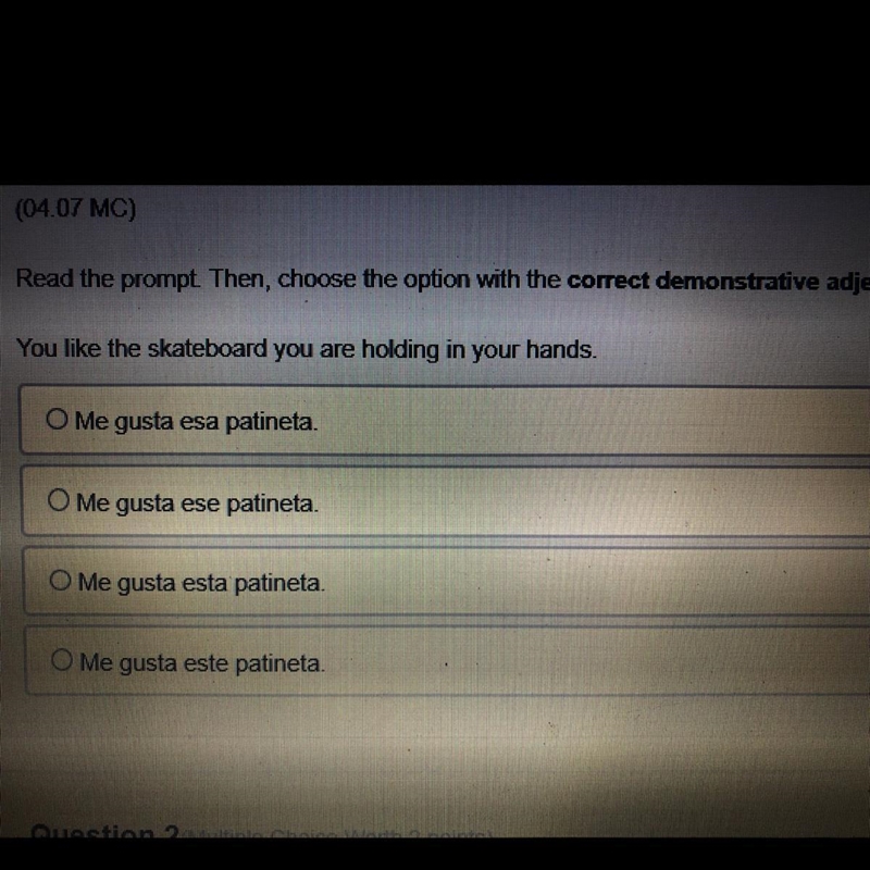 Read the prompt. Then, choose the option with the correct demonstrative adjective-example-1