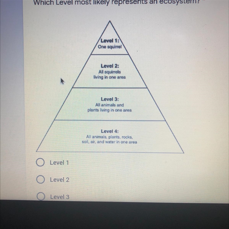 Which Level most likely represents an ecosystem? W-example-1