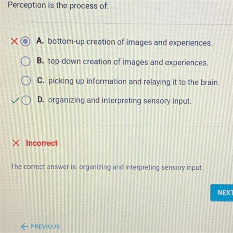 Perception is the process of: O A. bottom-up creation of images and experiences. O-example-1