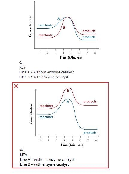 The graph below represents a biochemical reaction that is taking place in an organism-example-3