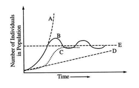 Represents the maximum number of individuals that can be supported by a particular-example-1