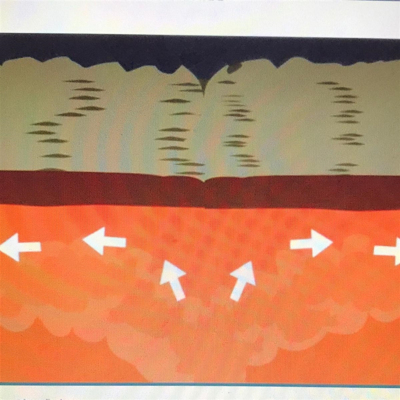 This type of movement is called A. Seafloor spreading B. Absorption C. Pangaea D. Plate-example-1