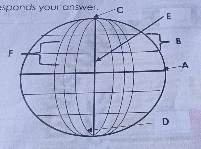 Directions: Identify the different imaginary lines of the globe. Write the letter-example-1