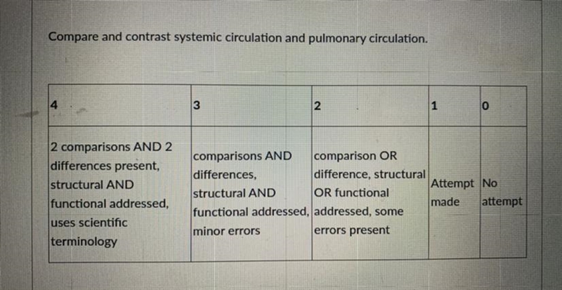 Please help meeeee!!!!!!! Need this today !!!!!!!!!-example-1