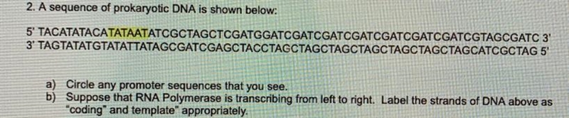 Only ppl who have taken/taking AP bio answer this please!! PLEASE HELP ME WITH B!!!! Highlighted-example-1