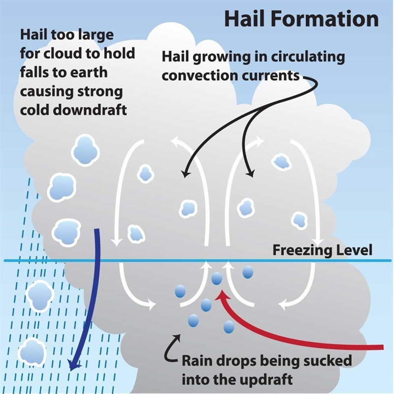 Which type of precipitation forms when there is warm air above the cloud but freezing-example-1