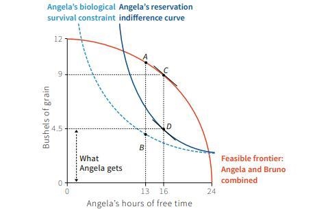 Figure shows the combined production function of Angela and Bruno. If the government-example-1