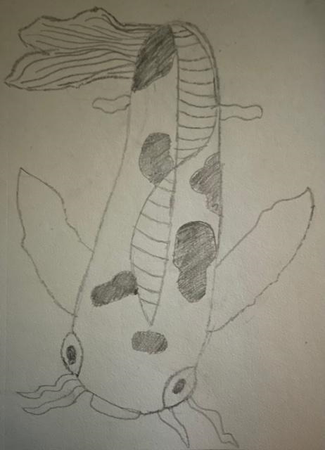 Draw a koi fish, similar to my teacher's you can use art hub, doesn't matter if you-example-1